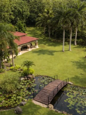 jardin loas amates 1