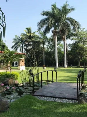 jardin loas amates 2